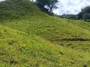 Finca de venta en Monte Plata Finca de venta en Monte Plata